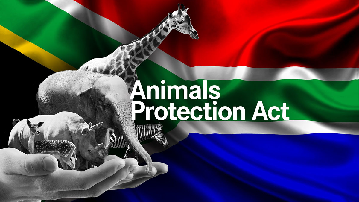 Animals Protection Act