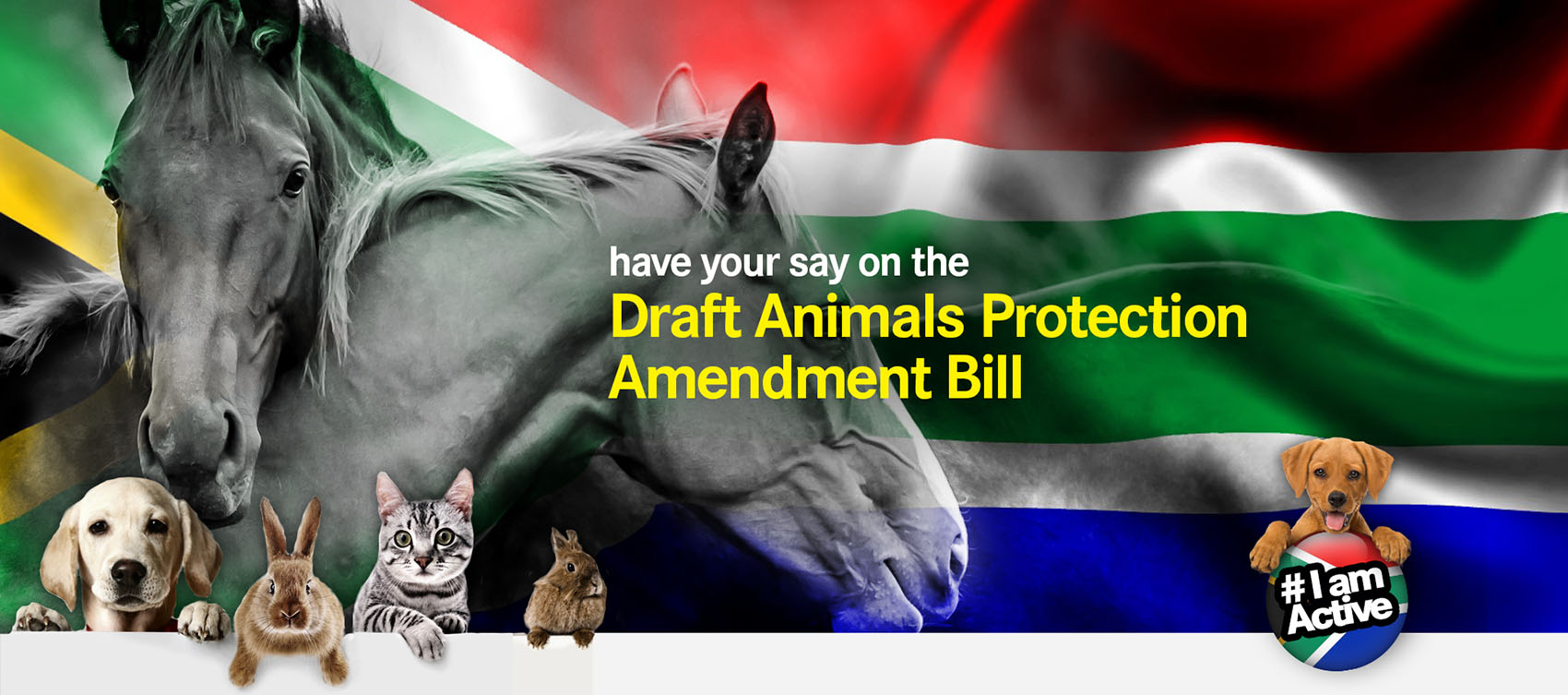 DearSA-animals protection act