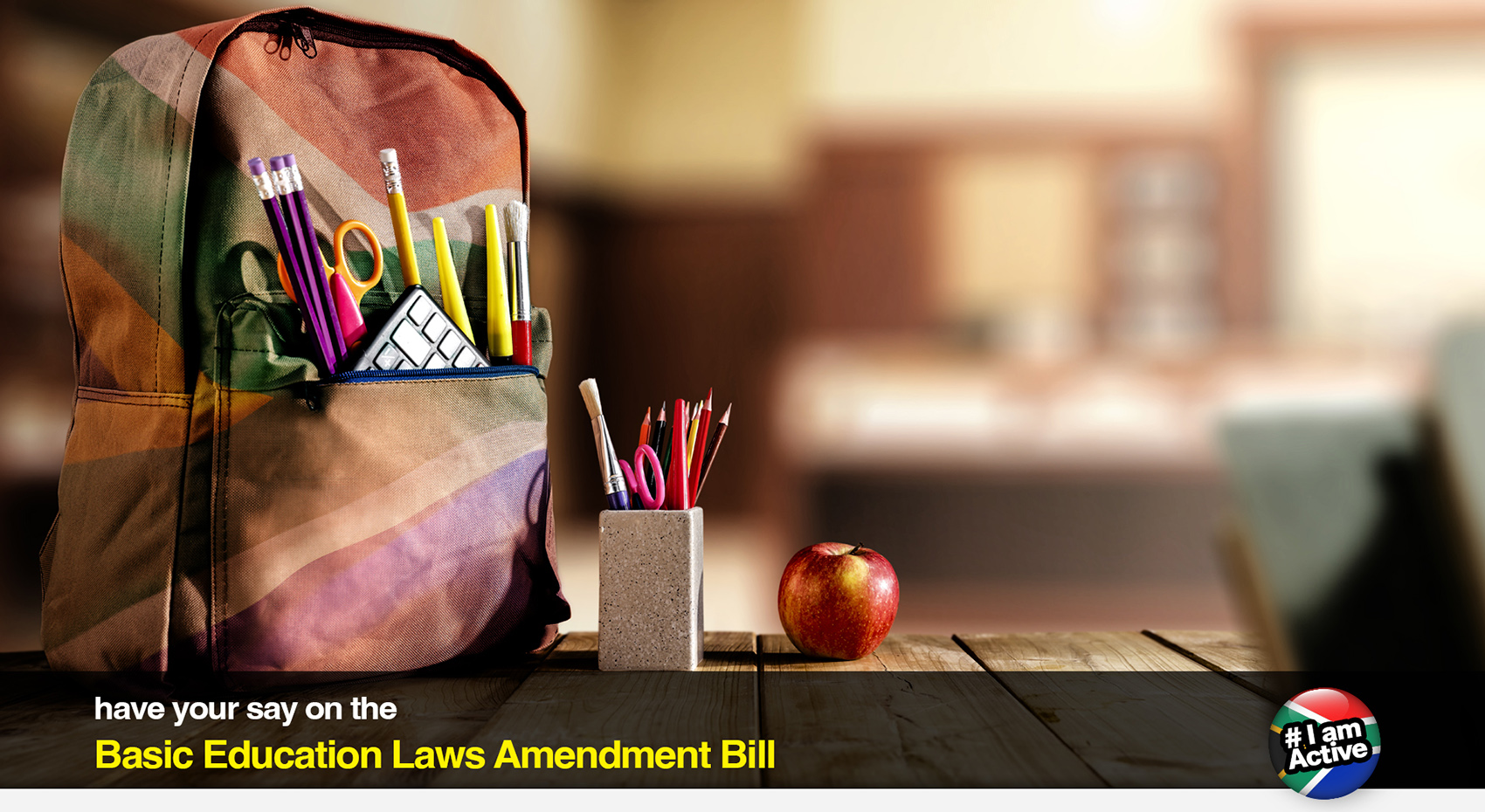DearSA-Basic-Education-Laws
