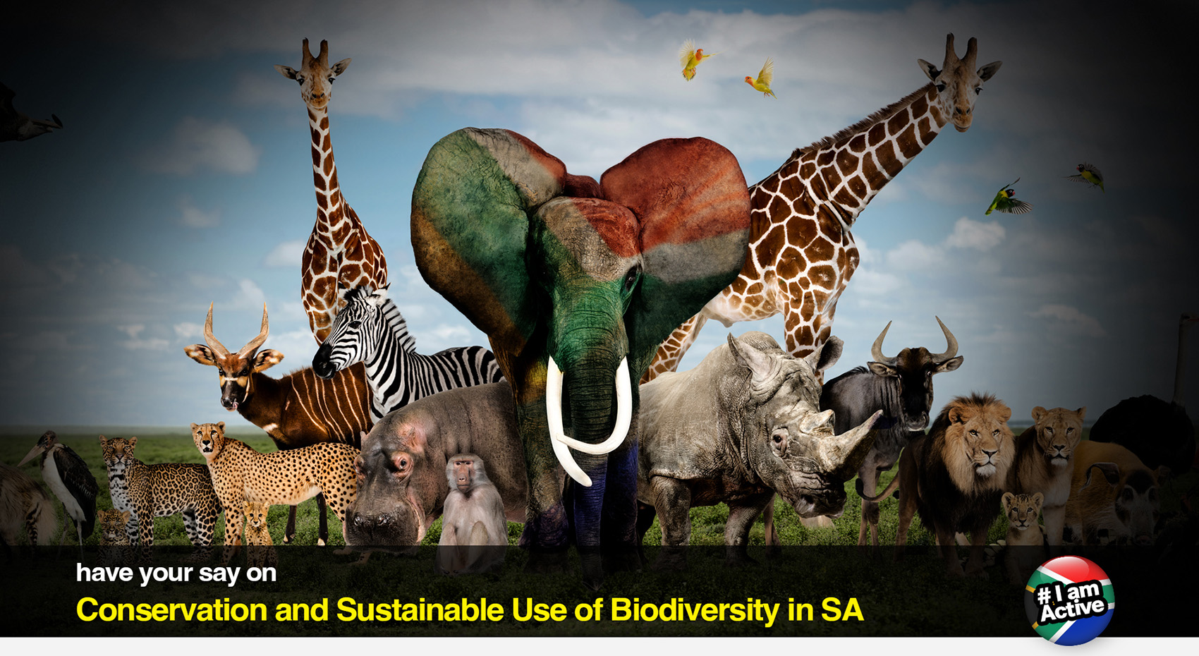 DearSA-biodiversity-white-paper